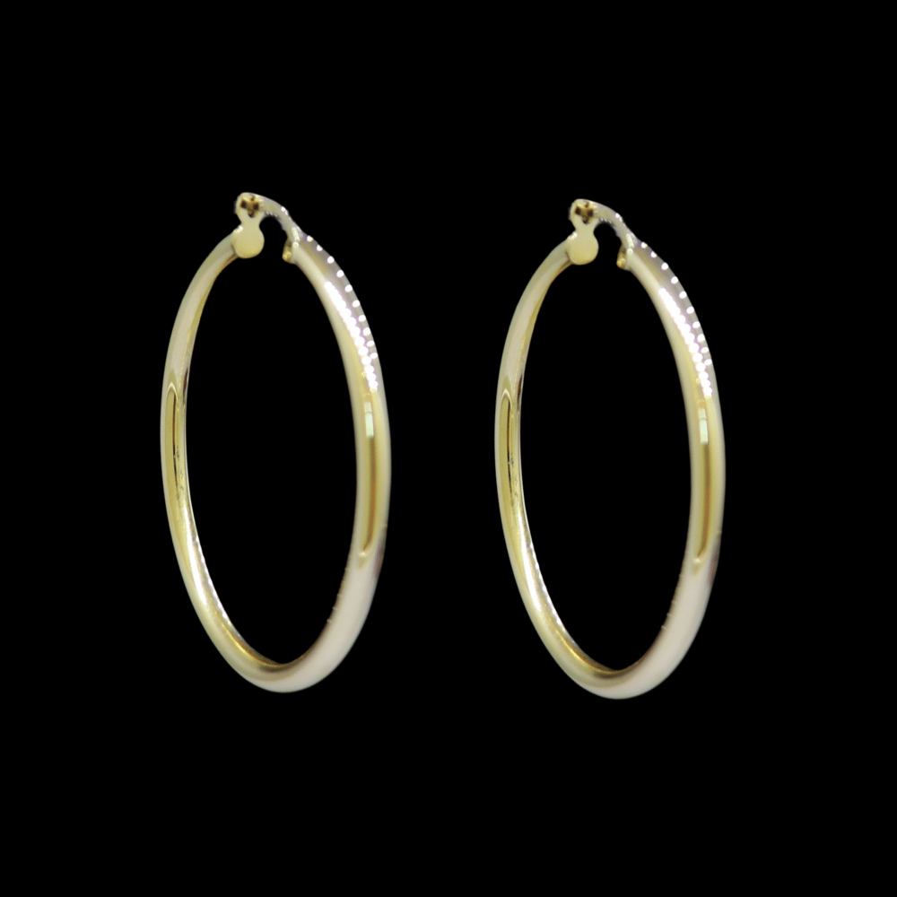 18k Gold Earrings
