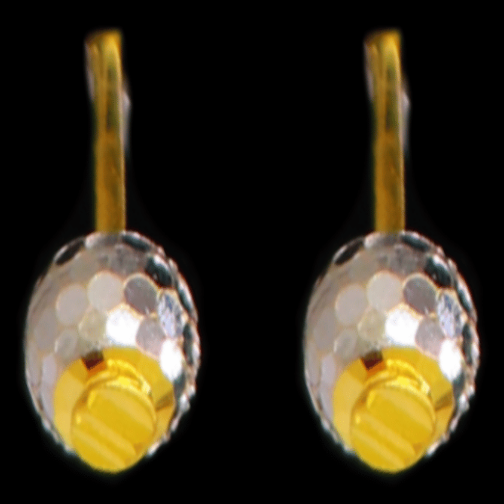 22K Gold Earrings - SW33541