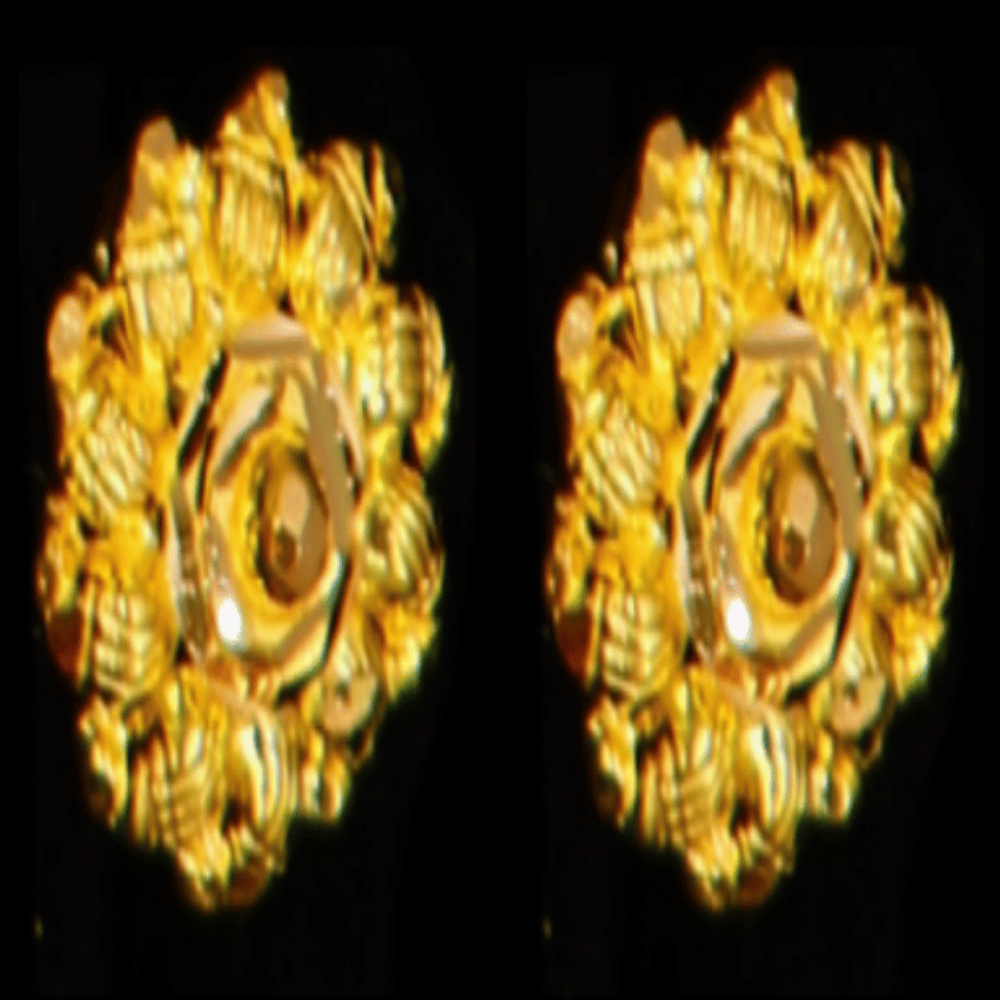 22K Gold Earrings - SW33502