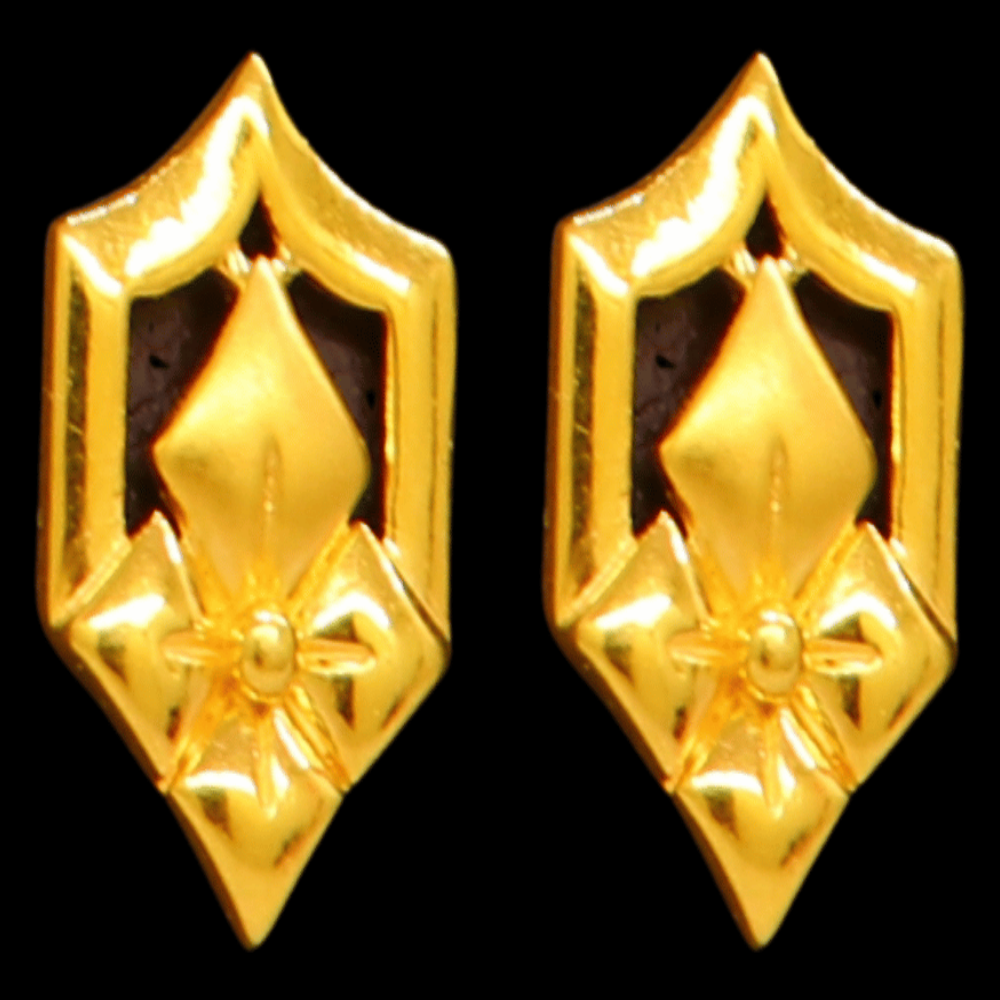 22K Gold Earrings - SW32497