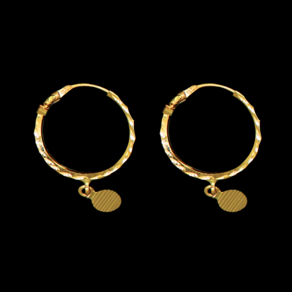 22K Gold Earrings - SW33480