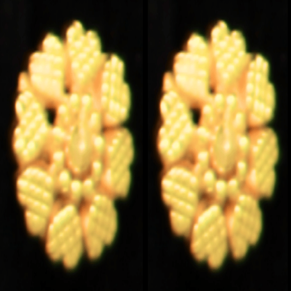 22K Gold Earrings - SW32331