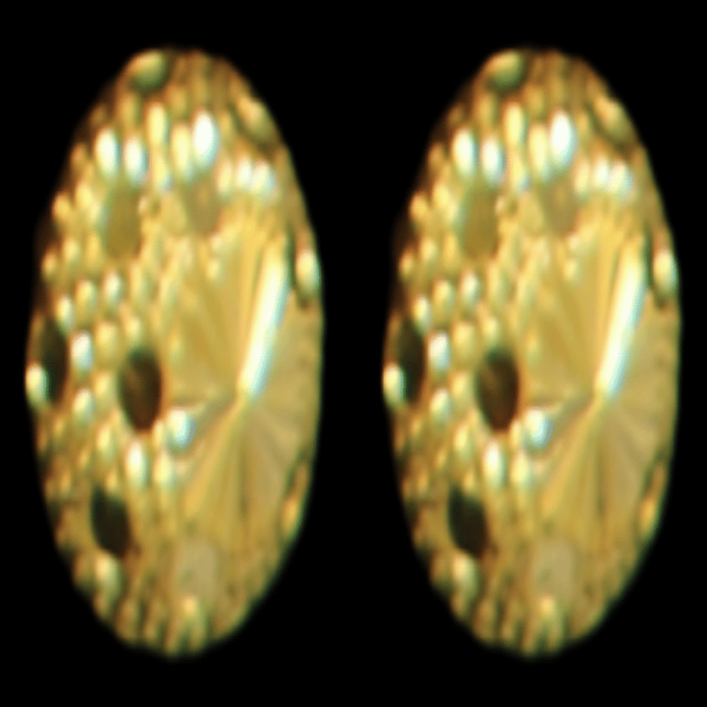 22K Gold Earrings - SW32149