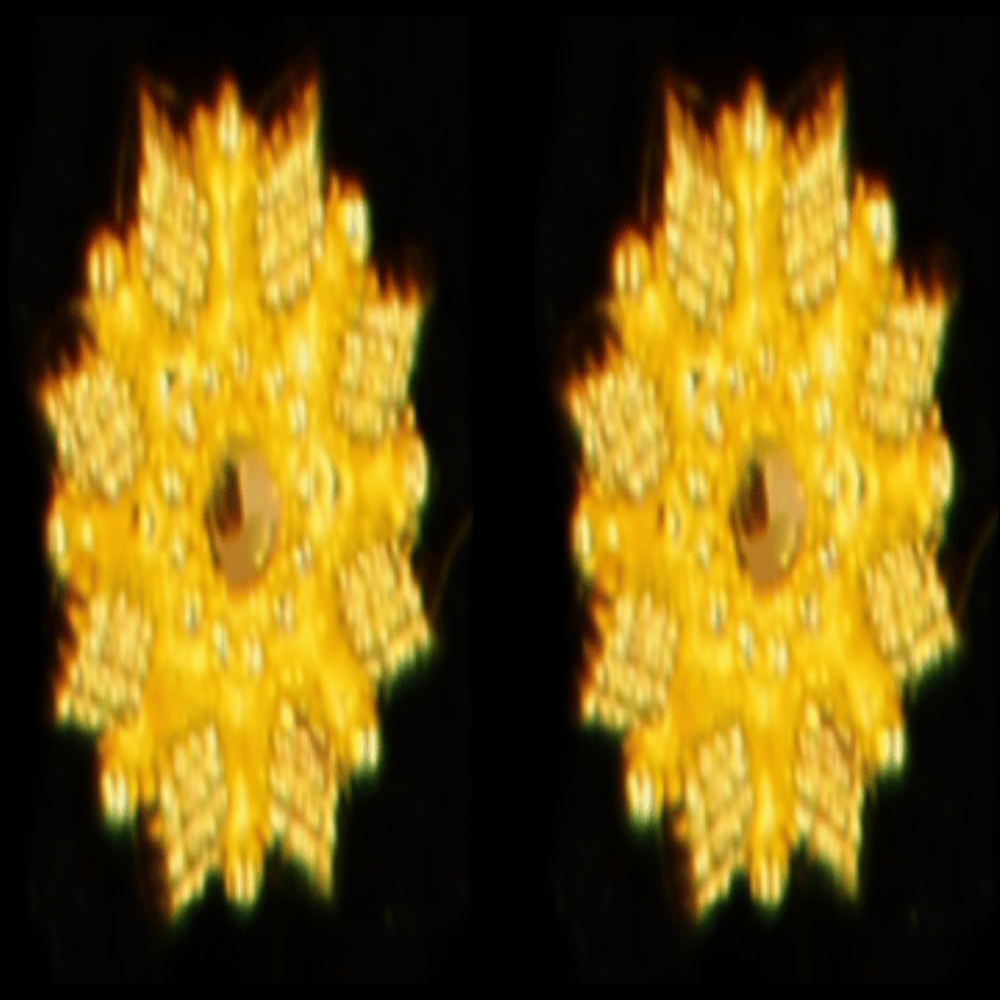 22K Gold Earrings - SW33510