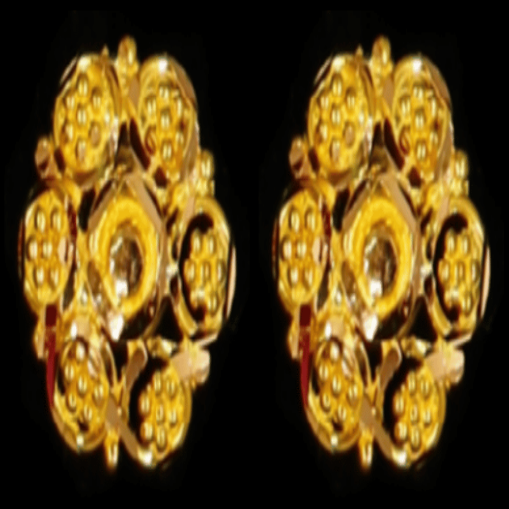 22K Gold Earrings - SW33511
