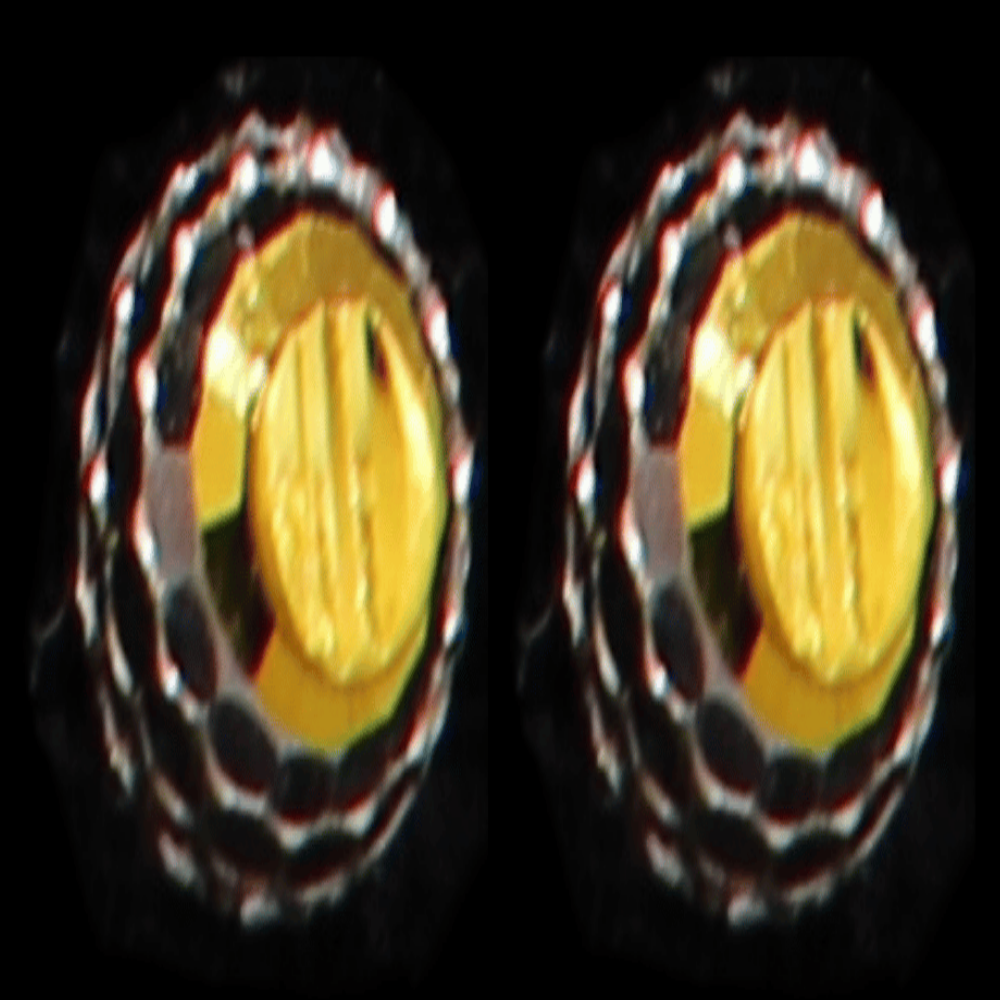 22K Gold Earrings - SW32175