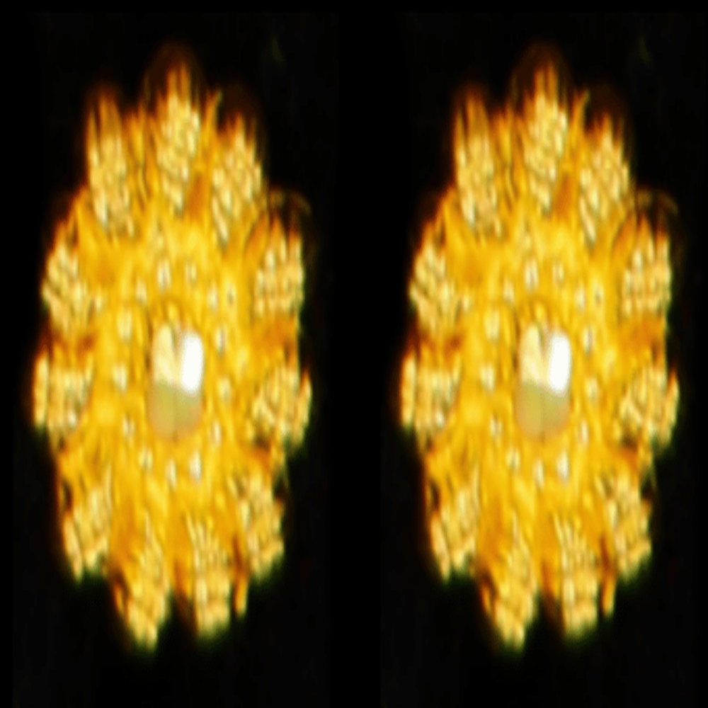22K Gold Earrings - SW33509