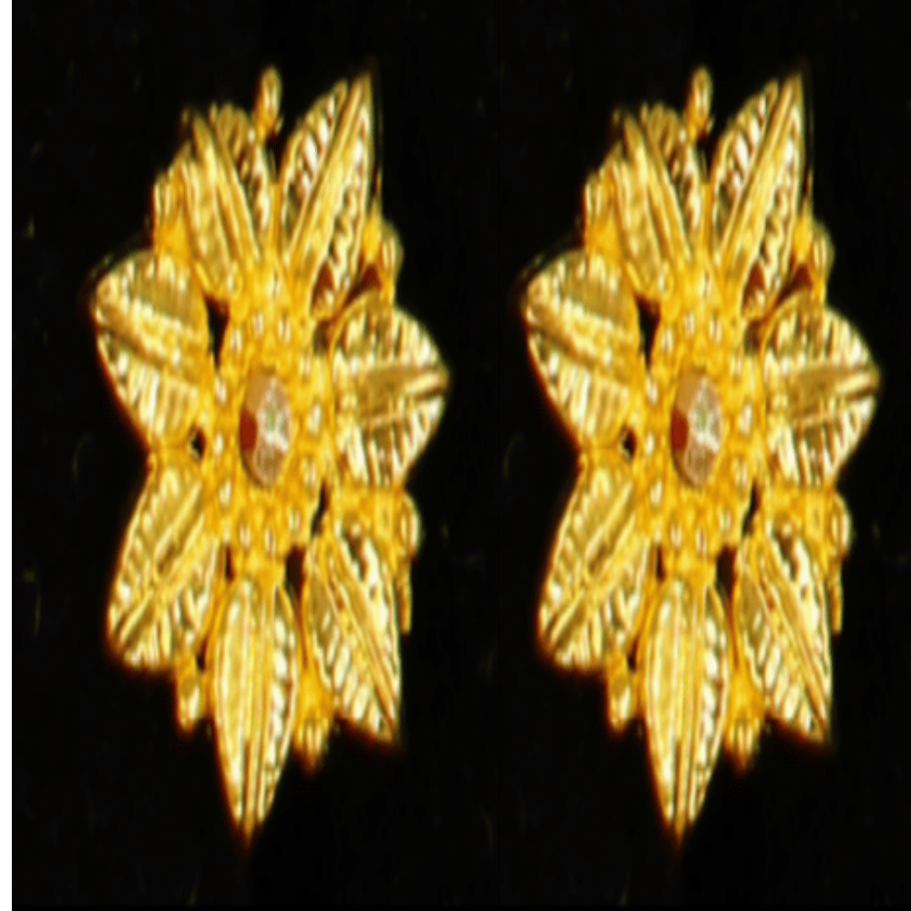 22K Gold Earrings - SW33505
